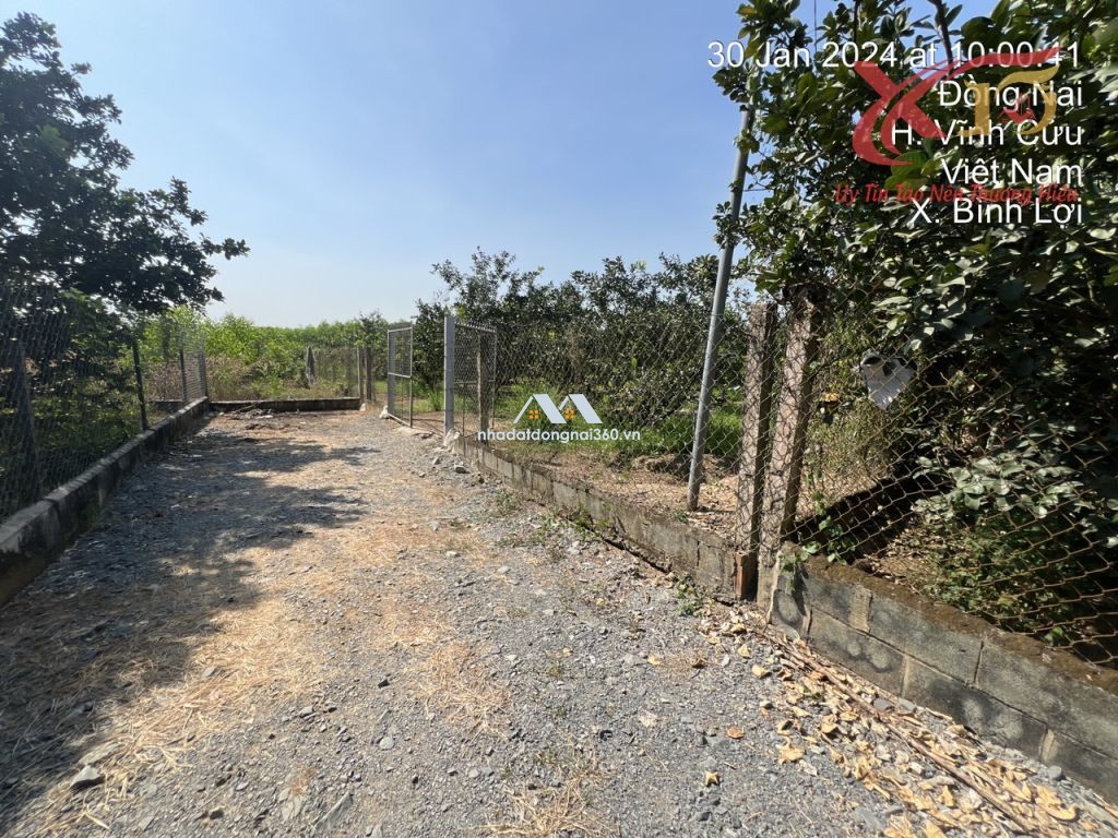 Bán đất vườn Bưởi xã Bình Lợi huyện Vĩnh Cửu tỉnh Đồng Nai diện tích 5.486m2 giá 15 tỷ
