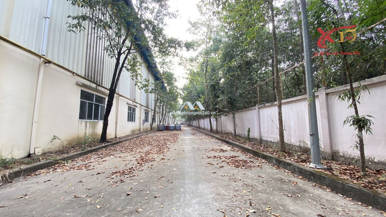 Cho thuê kho xưởng KCN Tam Phước Biên Hòa Đồng Nai 2800m2 chỉ 3 usd/m2