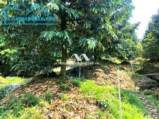 🪴🍃BỎ PHỐ VỀ VƯỜN SÁT HCM chỉ với 639 Triệu có ngay 1300m2 tại ĐN🌱🌳