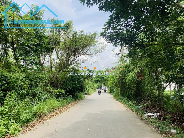 Bán Nhà Vườn 709m2 View Sông Có 236m2 Thổ Cư Phường Hiệp Hòa,Biên Hòa,Đồng Nai Gía 16,5Tỷ