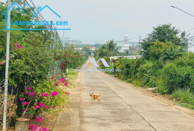 Kẹt tiền cần bán lô đất 201m2 full thổ cư, đường hiện hữu, view hồ Trị An.