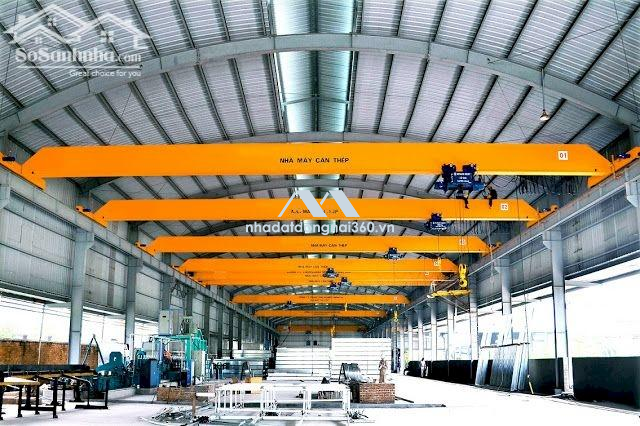 Cho Thuê Xưởng 12000M2, Đường 768, Xã Thiện Tân, Huyện Vĩnh Cửu