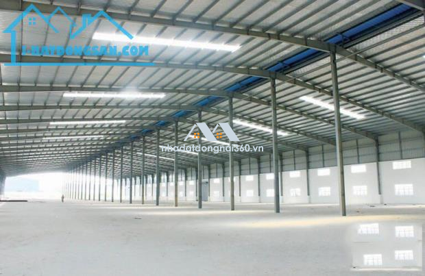 c9: Cho thuê mặt bằng 2000m2 siêu đẹp ngay Cầu Đồng Nai. Giá rẻ chỉ 45k/m2