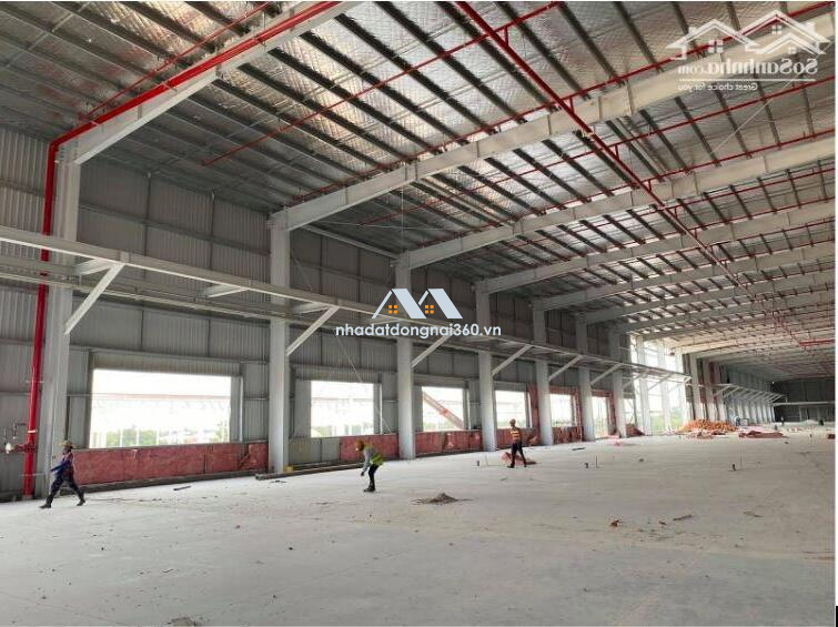 Cho thuê nhà xưởng 5000m2 KCN AMATA Biên Hòa Đồng Nai