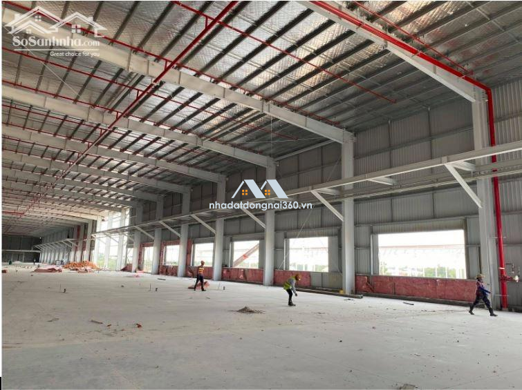 Cho thuê nhà xưởng 5000m2 KCN AMATA Biên Hòa Đồng Nai