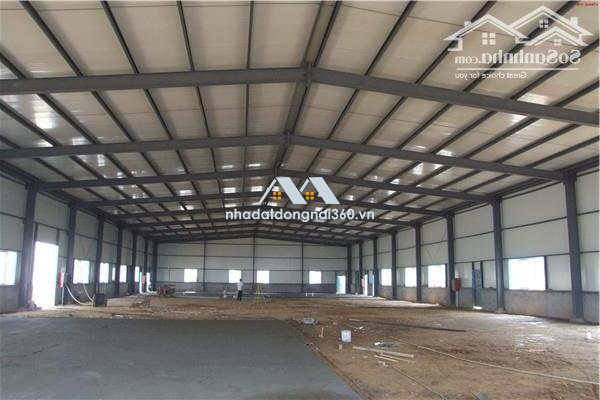 Cho thuê xưởng 3000m2. Long Bình Tân . Biên Hòa . Đồng Nai (XT084)