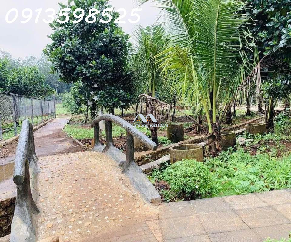 Bán nhà vườn 2000 m2, 290 tr, đường nhựa 12m