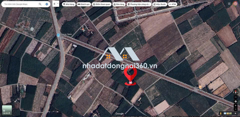 Bán Đất trồng cây lâu năm hơn 2007m2 ngay trung tâm của Nhơn Trạch