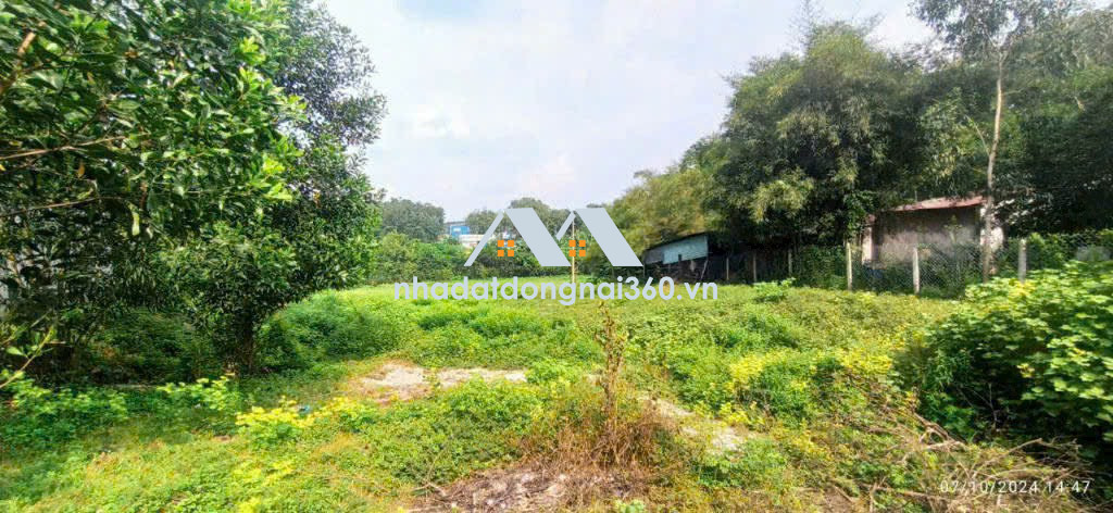 Bán 3500m2 đất thổ cư Long Đức gần SÂN BAY Long Thành chỉ 6,5 tỷ