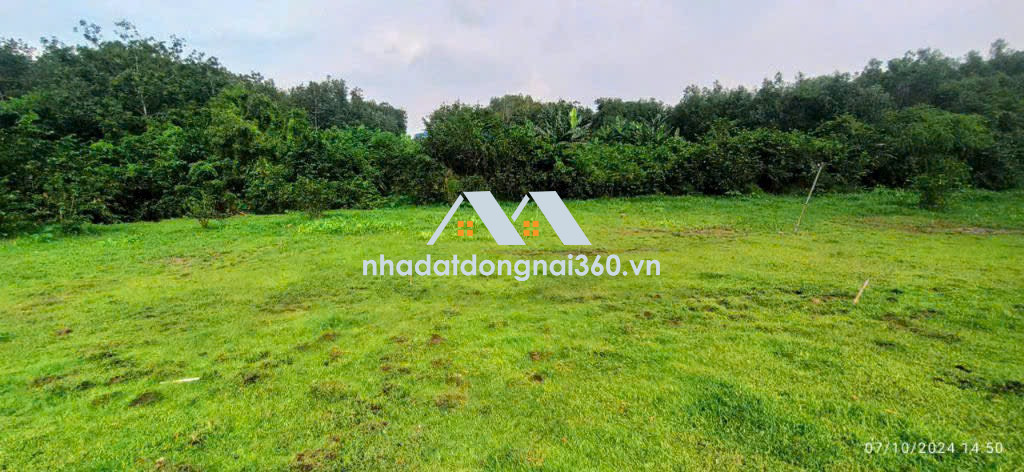 Bán 3500m2 đất thổ cư Long Đức gần SÂN BAY Long Thành chỉ 6,5 tỷ