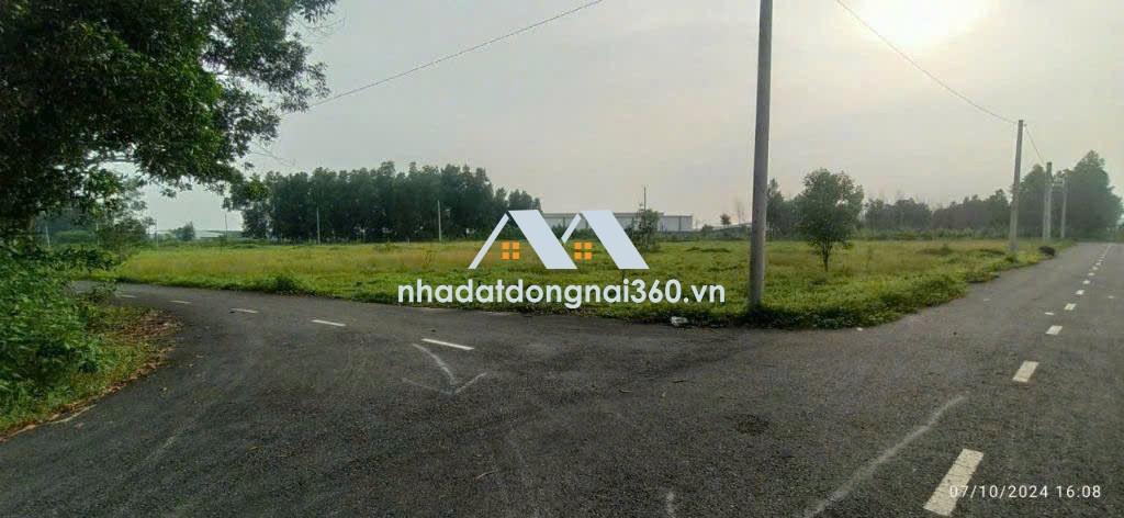 Bán 3500m2 đất thổ cư Long Đức gần SÂN BAY Long Thành chỉ 6,5 tỷ
