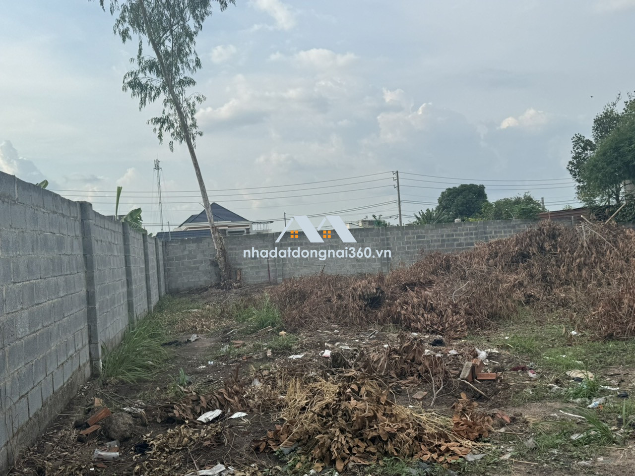 Bán đất 67m2 ngay Chợ nhỏ Hồ Bơi Phương Nam KP2 Trảng Dài TP Biên Hòa chỉ 1,85 tỷ