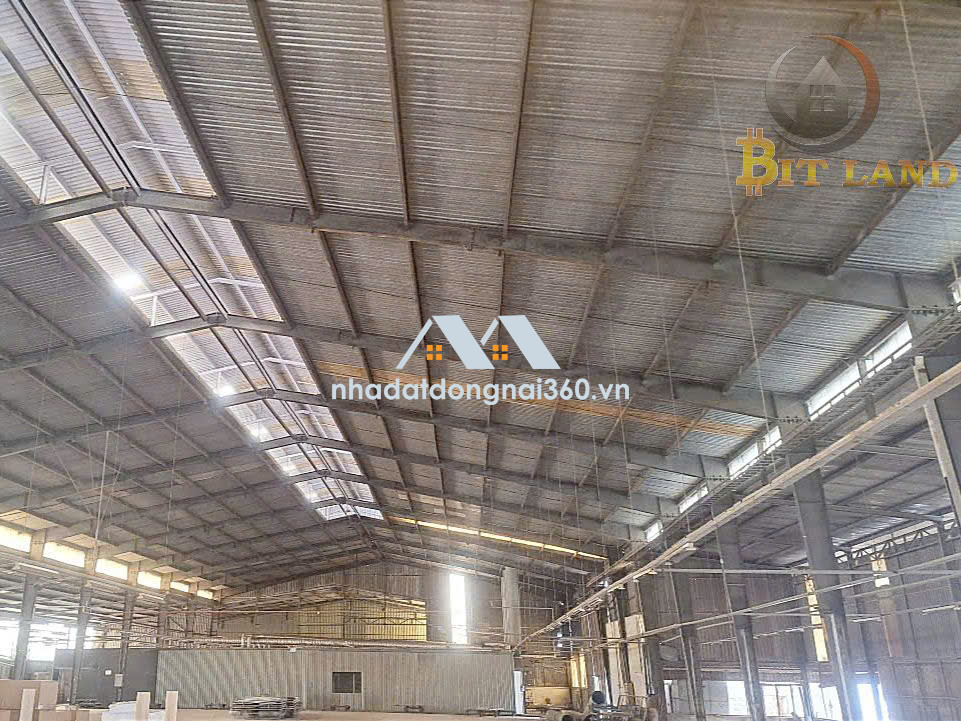 Cho thuê xưởng 12000m2 Long Bình TP Biên Hòa chỉ từ 2,5 USD/m2