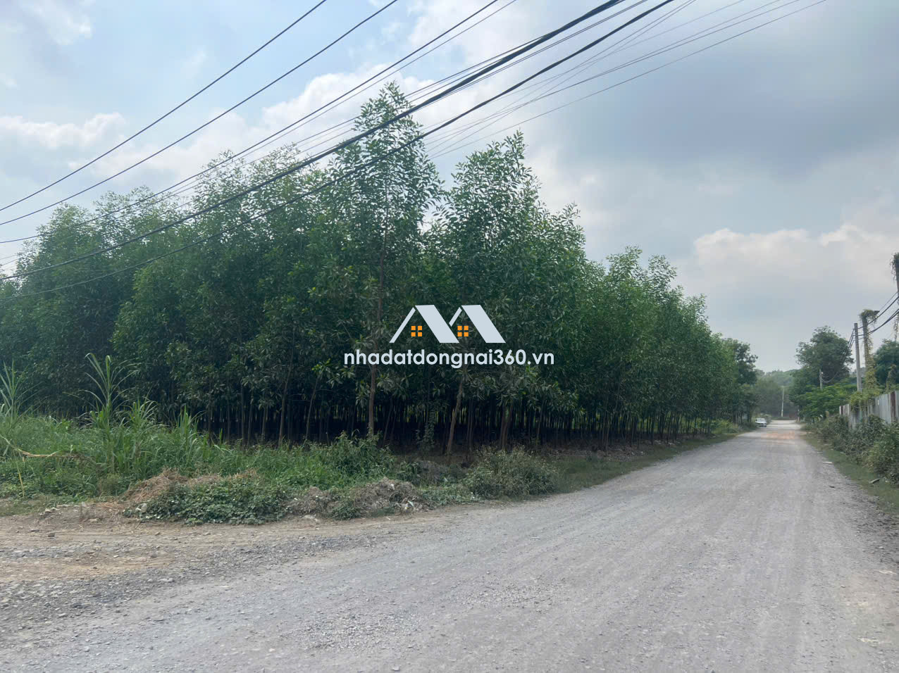 Bán đất 6000m2 xây dựng nhà xưởng 3 mặt tiền Thiện Tân TP Biên Hòa Đồng Nai chỉ 16 tỷ