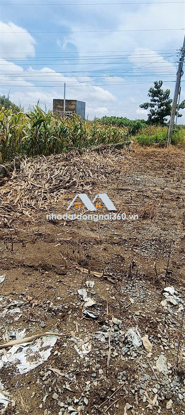 CHÍNH CHỦ CẦN BÁN LÔ ĐẤT ĐẸP TẠI PHÚ LỢI, ĐỊNH QUÁN, Đồng Nai – GIÁ TỐT, TIỀM NĂNG CAO!