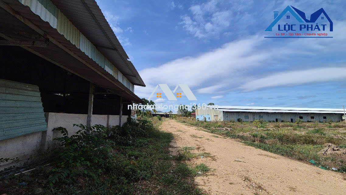 Bán nhà xưởng tại huyện Xuân Lộc Đồng Nai diện tích 27,5ha giá chỉ 175 tỷ