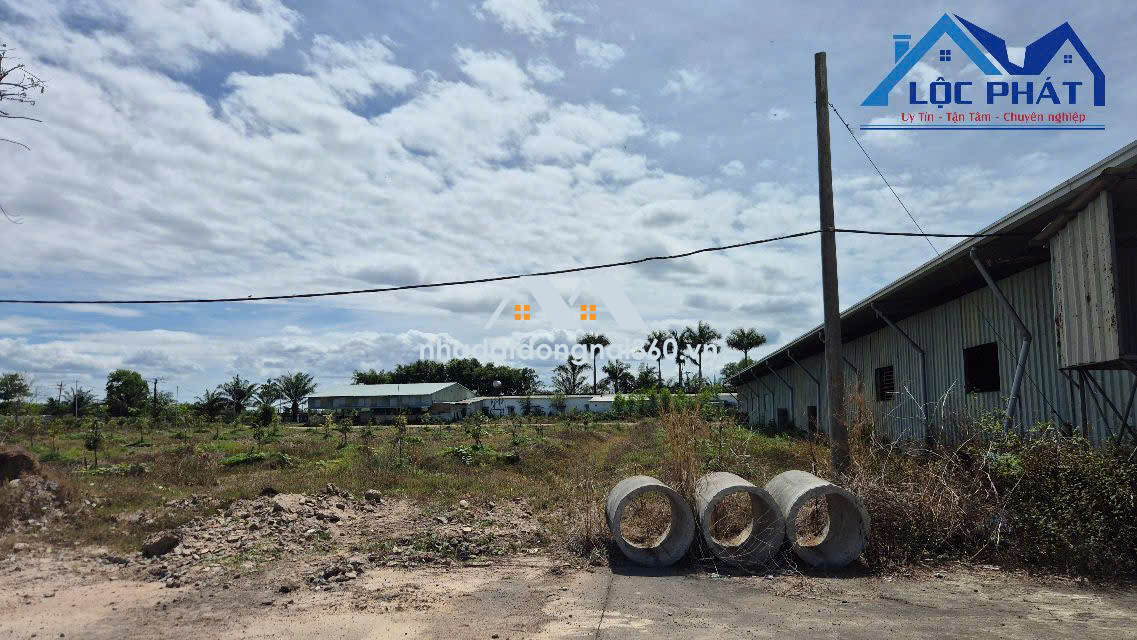 Bán kho, nhà xưởng tại Đường Quốc lộ 1A, Xã Xuân Hưng, Xuân Lộc, Đồng Nai giá 175 tỷ