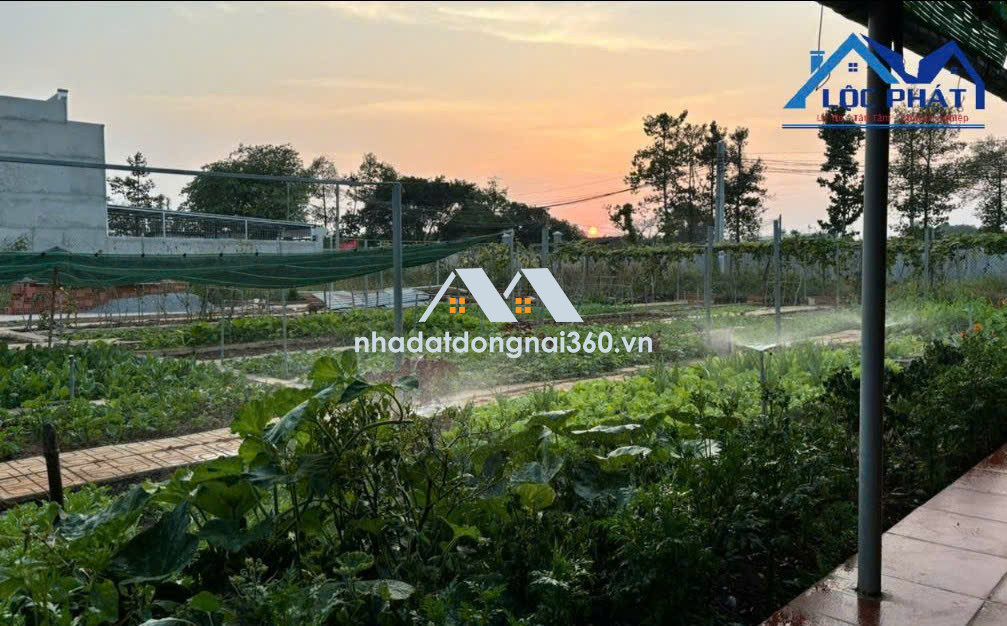 Bán đất full thổ cư phường An Hòa TP Biên Hòa 125m² giá chỉ 1,72 tỷ