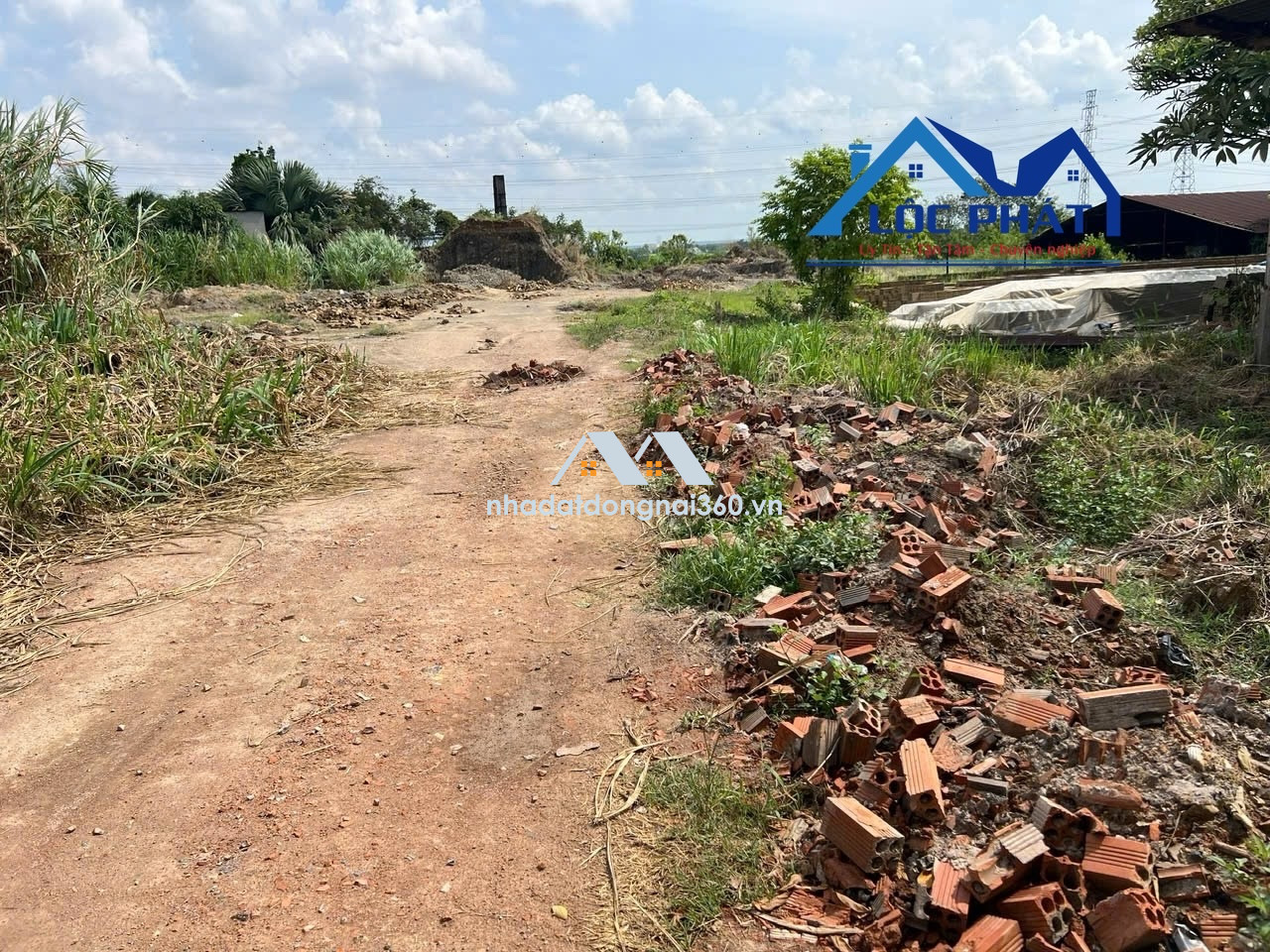 Bán nhà xưởng 19.300m2. Vĩnh Cửu-Đồng Nai giá quá rẻ chỉ 36 tỷ