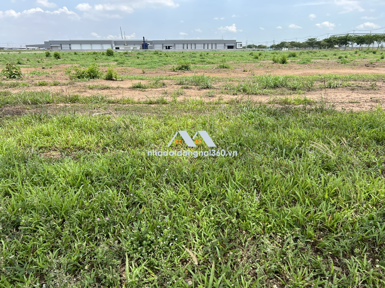 Bán đất xây dựng xưởng 31.001m2 giá chỉ 145 tỷ. KCN Trảng Bom-Đồng Nai