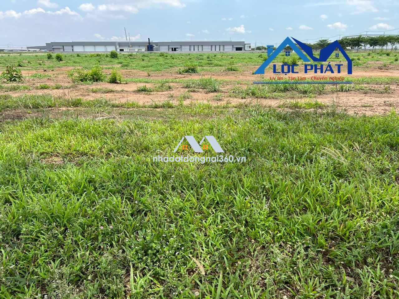 Bán đất KCN Trảng Bom Đồng Nai 31.000m2 Giá 185usd/m2