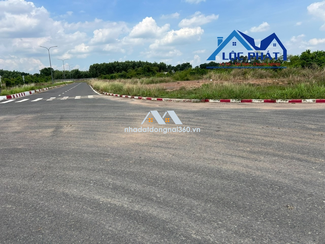 Bán đất KCN Trảng Bom Đồng Nai 31.000m2 Giá 185usd/m2