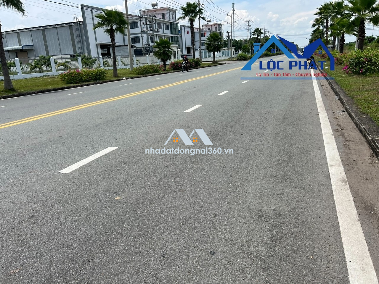 Bán đất xây dựng xưởng 31.001m2 giá rẻ chỉ 185 usd/m2 KCN Trảng Bom Đồng Nai.