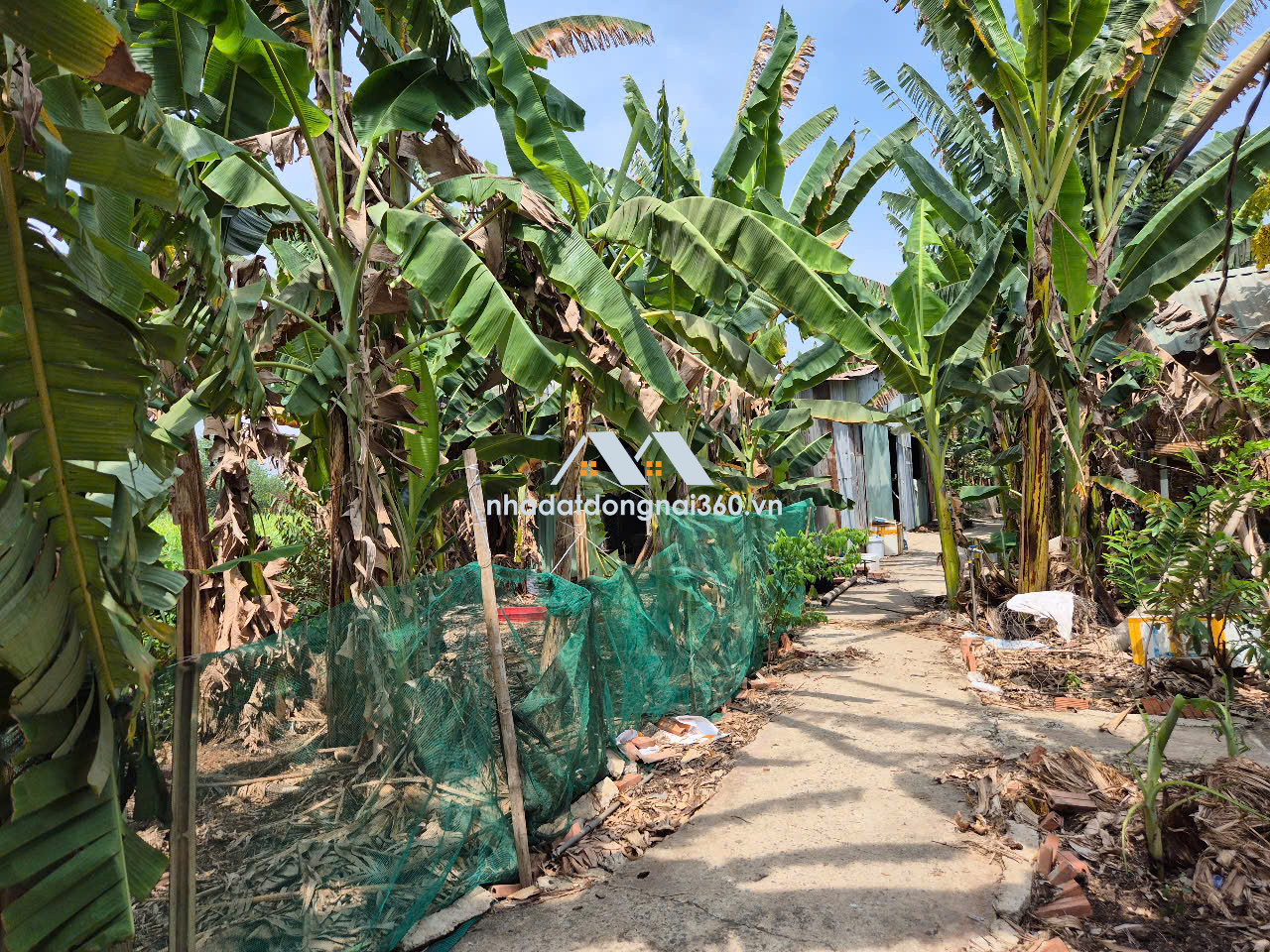 Bán đất tại QL51, Phường An Hoà, TP Biên Hòa, Đồng Nai giá 17 tỷ 600 triệu