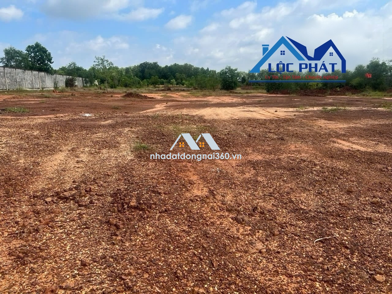 Bán đất (SKC) XD xưởng 18.300m2 giá chỉ 73tỷ. Tam Phước-Biên Hòa-Đồng Nai