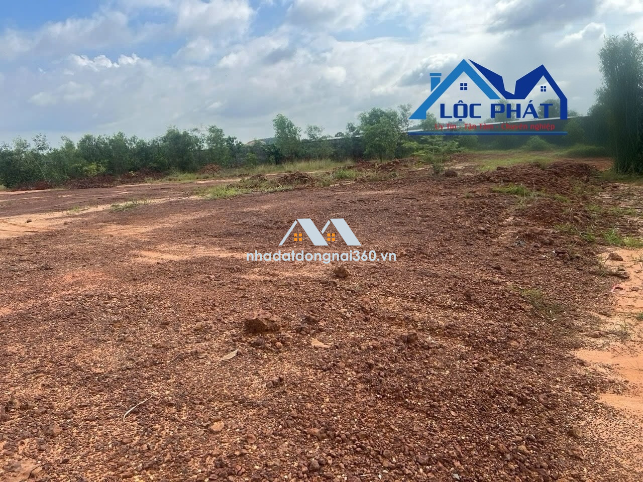 Bán đất (SKC) XD xưởng 18.300m2 giá chỉ 73tỷ. Tam Phước-Biên Hòa-Đồng Nai