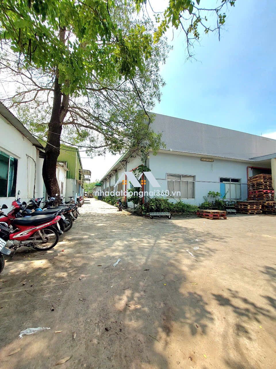 Cho thuê xưởng 12000m2 gần QL51 và KCN Long Thành Đồng Nai có 200tr
