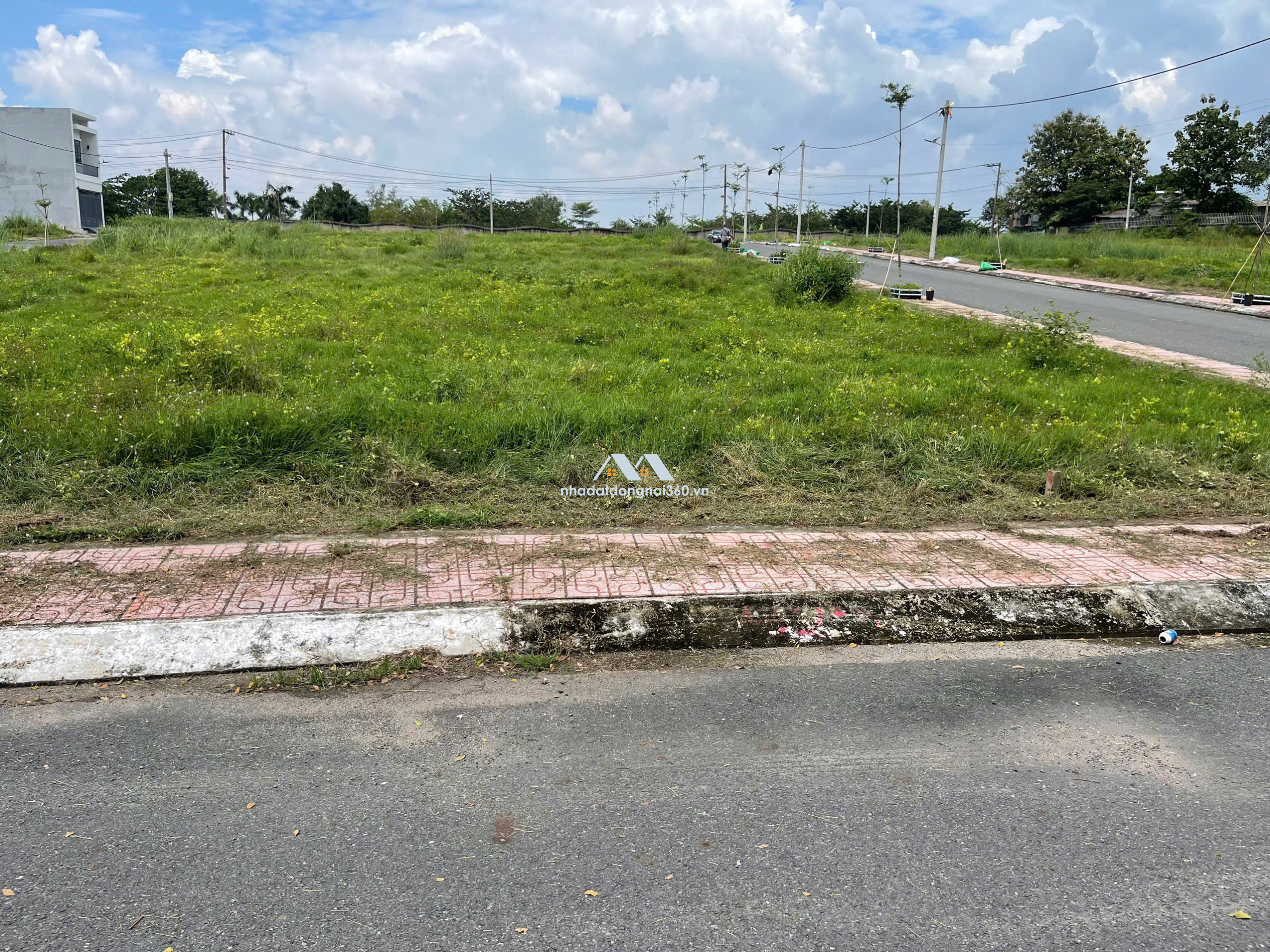 Đất nền Biên Hòa vị trí vàng – Giá chỉ từ 1.4 tỷ, thanh toán linh hoạt chỉ 400 triệu!