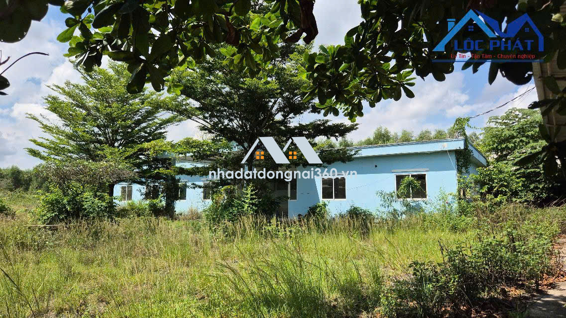 Bán đất full SKC hơn 4,5ha và xưởng tại phường Phước Tân Biên Hòa giá 150 tỷ