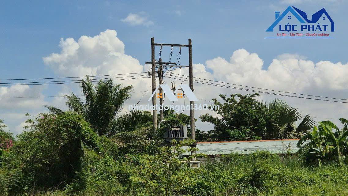 Bán kho, nhà xưởng tại QL51, Phường Phước Tân, Tp Biên Hòa, Đồng Nai giá 150 tỷ