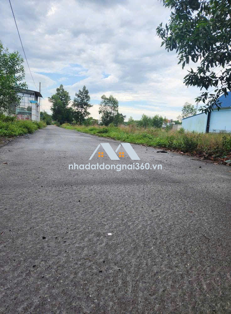 🌟 BÁN ĐẤT AN VIỄN - VỊ TRÍ ĐẸP, GIÁ TỐT CHỈ 1.02 TỶ!