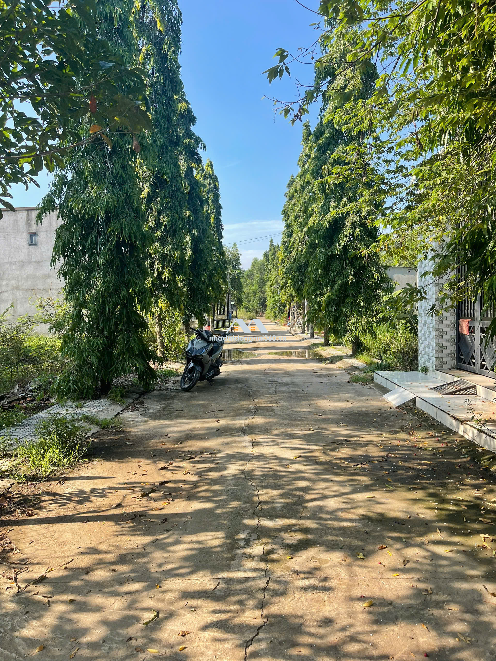 Bán đất ngay cổng KCN Giang Điền, 1 sẹc Trần Vĩnh Lộc, 1 tỷ 100m2