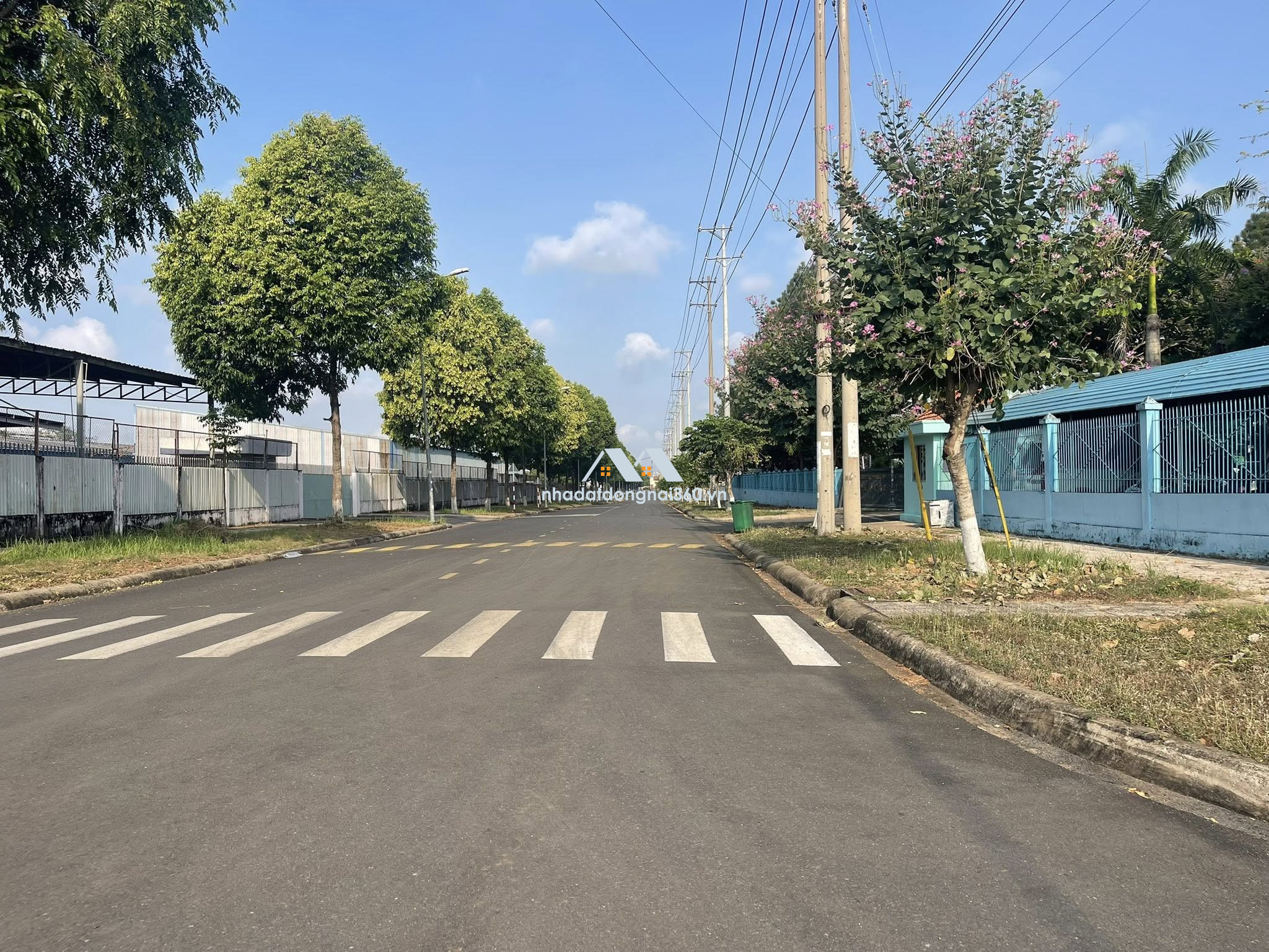 Giá 785 tr (bao sổ) đất ở cạnh KCN Bàu Xéo