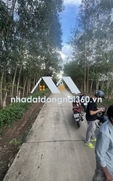ĐẤT ĐẸP GẦN TRUNG TÂM BÀU CẠN – CÁCH CHỢ CHỈ 600M, GIÁ CỰC TỐT