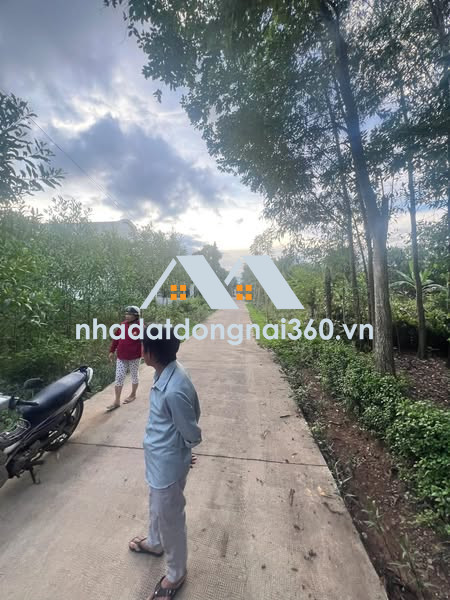 ĐẤT ĐẸP GẦN TRUNG TÂM BÀU CẠN – CÁCH CHỢ CHỈ 600M, GIÁ CỰC TỐT