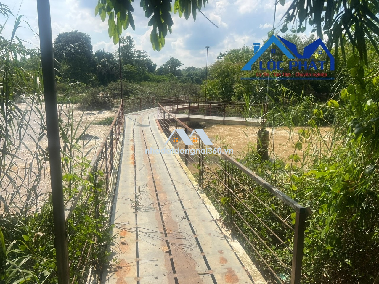 Bán đất view hồ Trị An 8,2ha đã đầu tư phần cơ bản giá chỉ 45tỷ. Định Quán-Đồng Nai