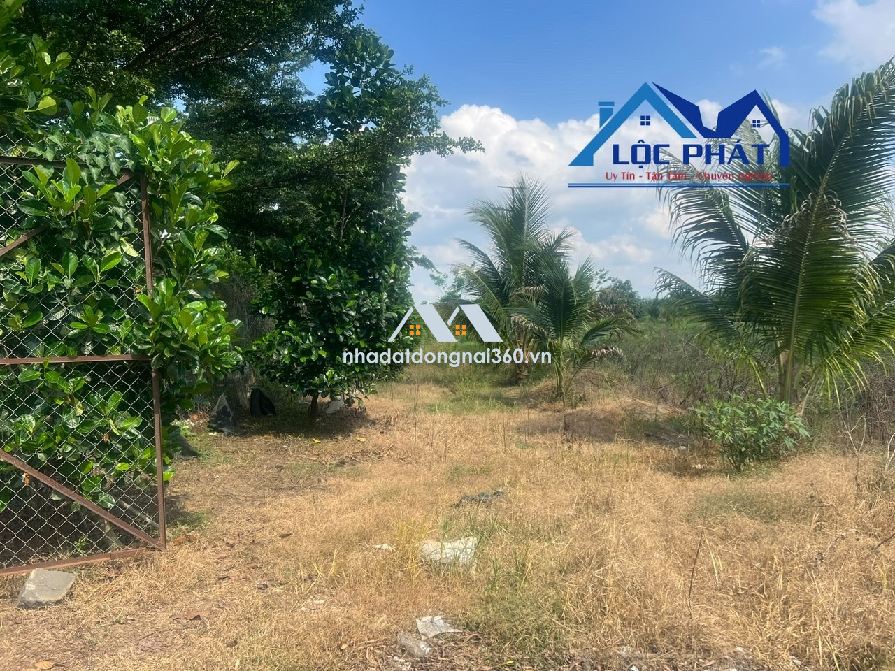 Bán đất view hồ Trị An 8,2ha đã đầu tư phần cơ bản giá chỉ 45tỷ. Định Quán-Đồng Nai