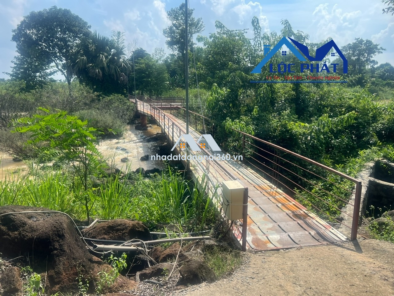 Bán đất view hồ Trị An 8,2ha đã đầu tư phần cơ bản giá chỉ 45tỷ. Định Quán-Đồng Nai