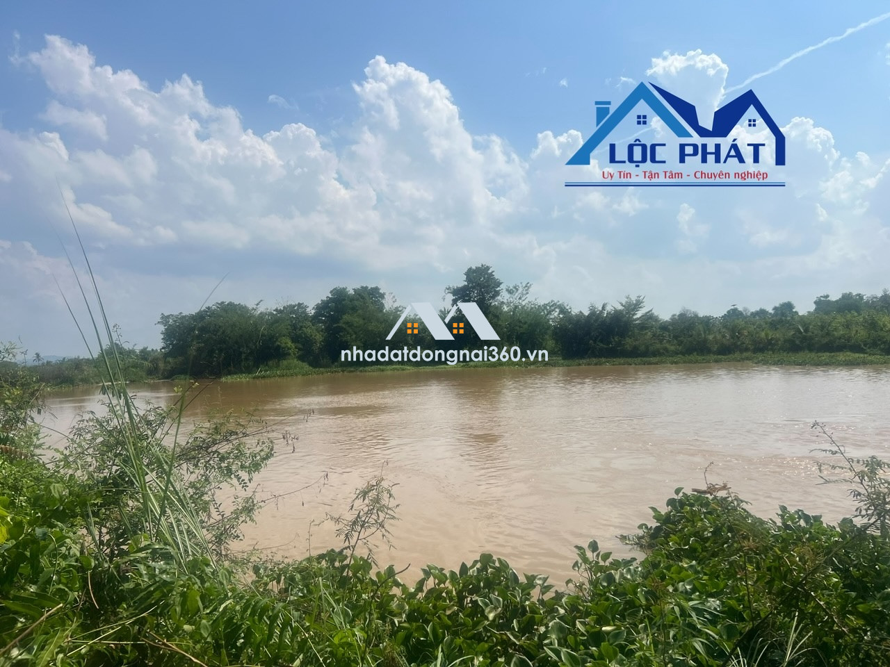 Bán đất view hồ Trị An 8,2ha đã đầu tư phần cơ bản giá chỉ 45tỷ. Định Quán-Đồng Nai