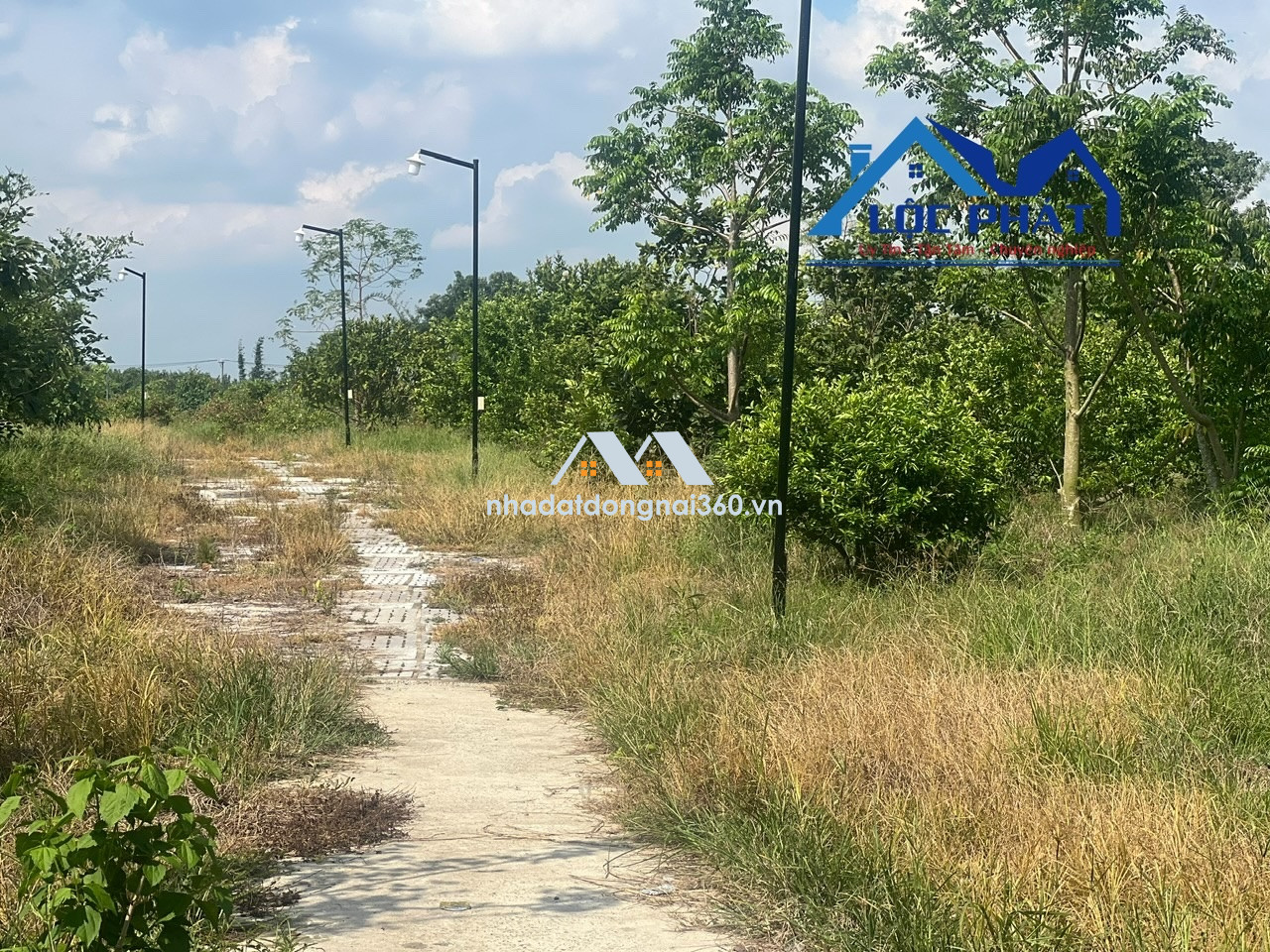 Bán đất view hồ Trị An 8,2ha đã đầu tư phần cơ bản giá chỉ 45tỷ. Định Quán-Đồng Nai