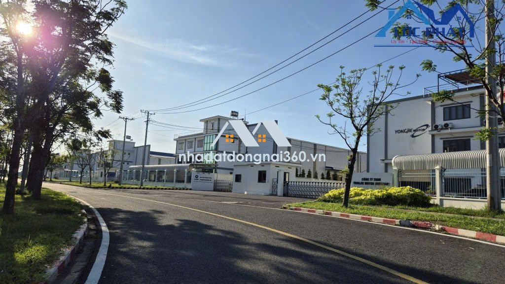 Bán đất KCN Giang Điền diện tích 2,2ha chỉ 195 usd/m2