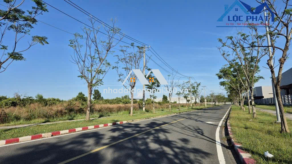 Bán đất KCN Giang Điền diện tích 2,2ha chỉ 195 usd/m2