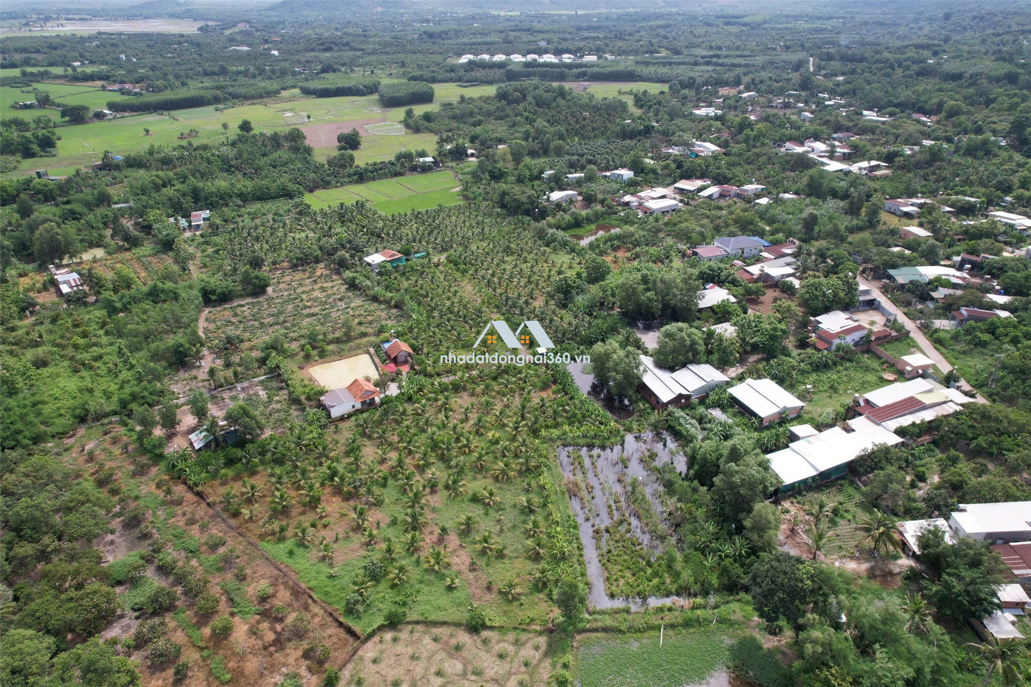 Chính chủ BÁN NHÀ VƯỜN NGHỈ DƯỠNG 12.000M² – NGỌC ĐỊNH, ĐỊNH QUÁN, ĐỒNG NAI