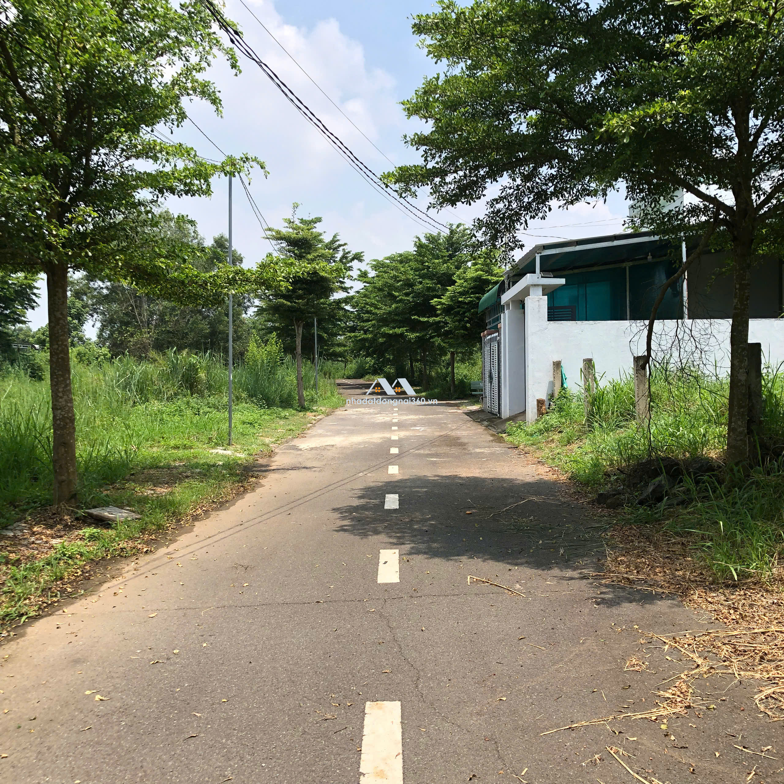 🔥 Đất Đẹp Sổ Riêng Đông Hoà – Giá Chỉ 900 Triệu!