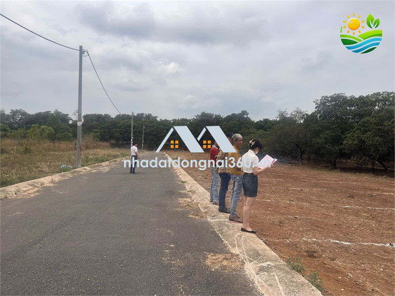 🔥 Đất Đẹp Sổ Riêng Đông Hoà – Giá Chỉ 900 Triệu!