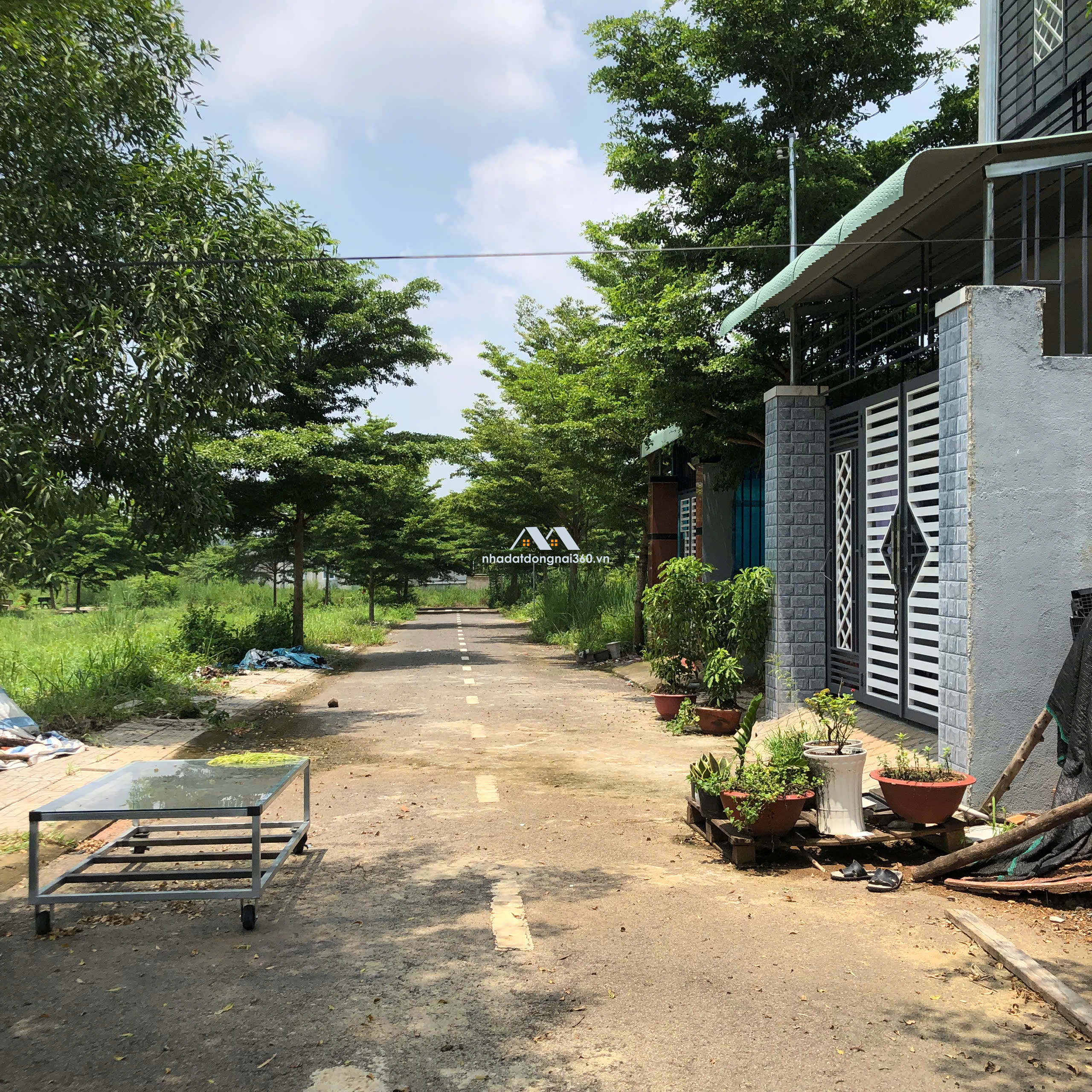 🔥 Đất Đẹp Sổ Riêng Đông Hoà – Giá Chỉ 900 Triệu!
